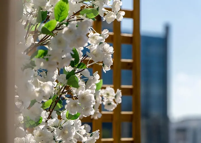 The Train בית הארחה